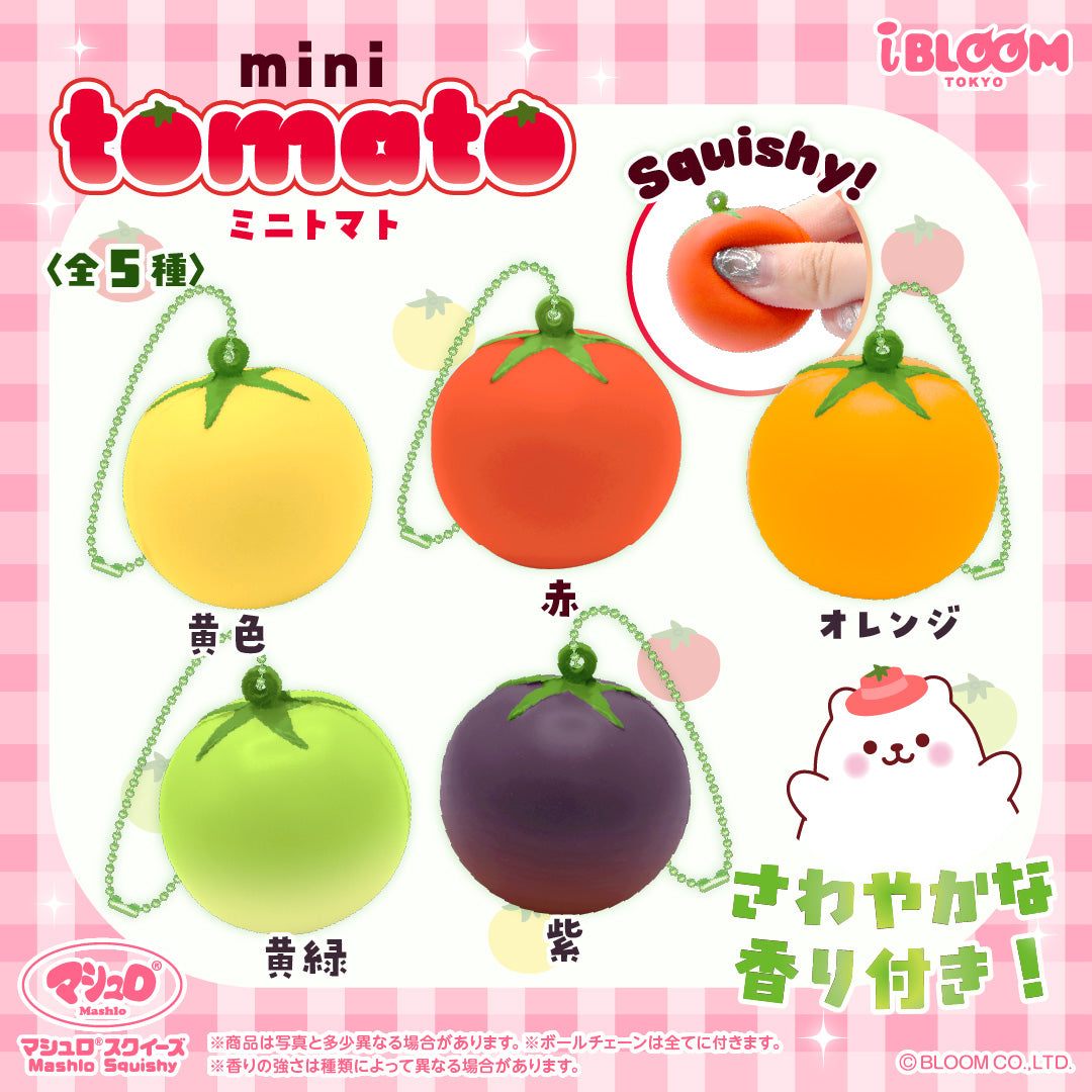 ミニトマト〈5種コンプセット〉の公式商品写真